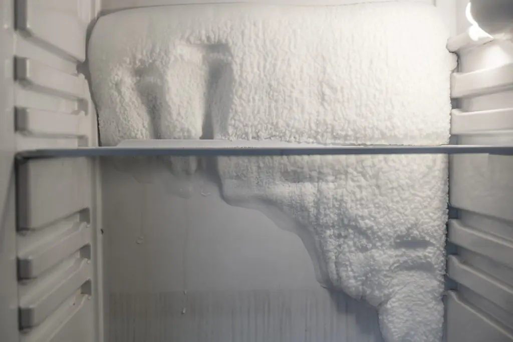 maintain your freezer